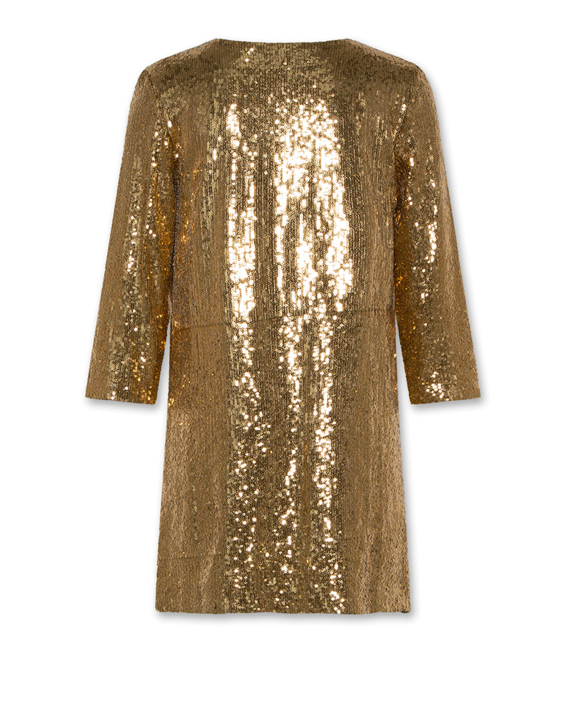AO76 Evie Dress Blaze Willow Green