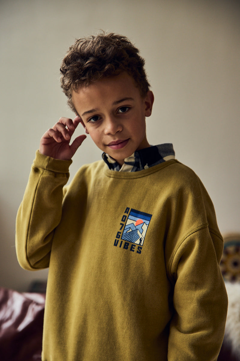 AO76 Oscar Sweater Vibes Willow Green