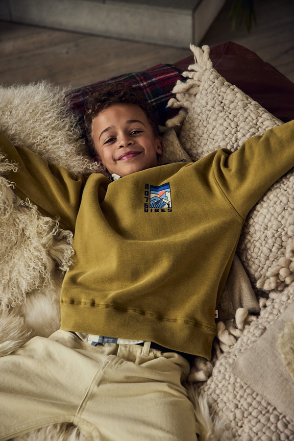 AO76 Oscar Sweater Vibes Willow Green