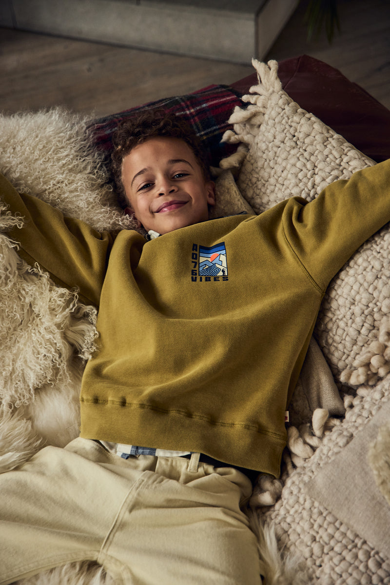 AO76 Oscar Sweater Vibes Willow Green