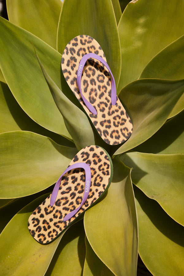 Molo Zeppo Flip Flops Allover Leo