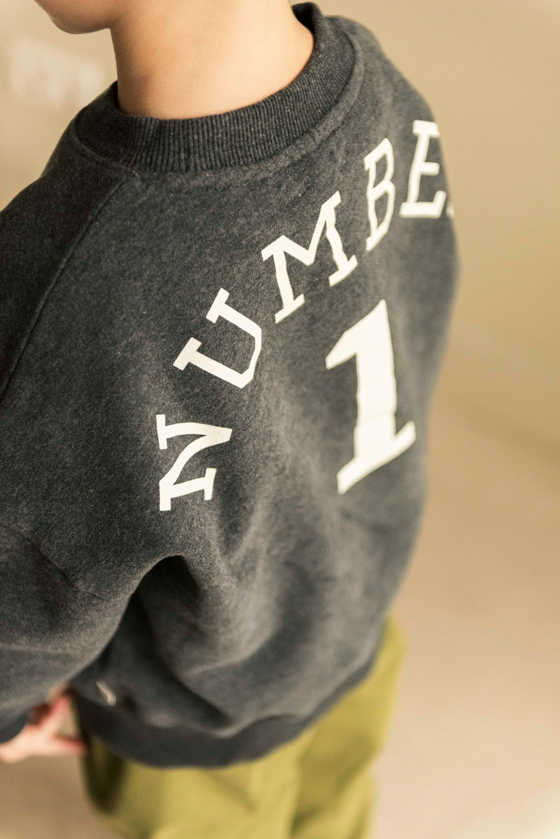 Jenest Bird NR1 Sweater Dark Grey Melange