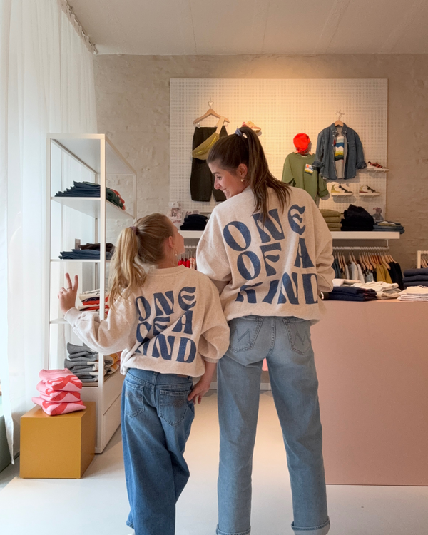 Jenest Pippa Sweater (twinning edition)