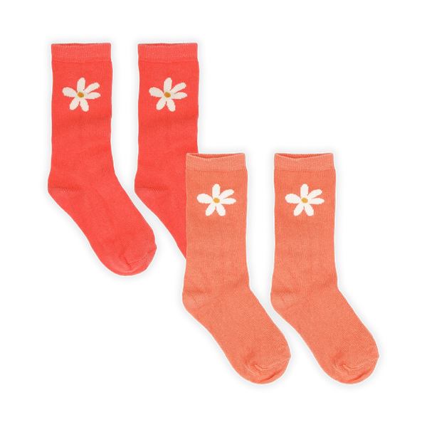 Sproet & Sprout Socks Daisy Rose Petal 2-pack