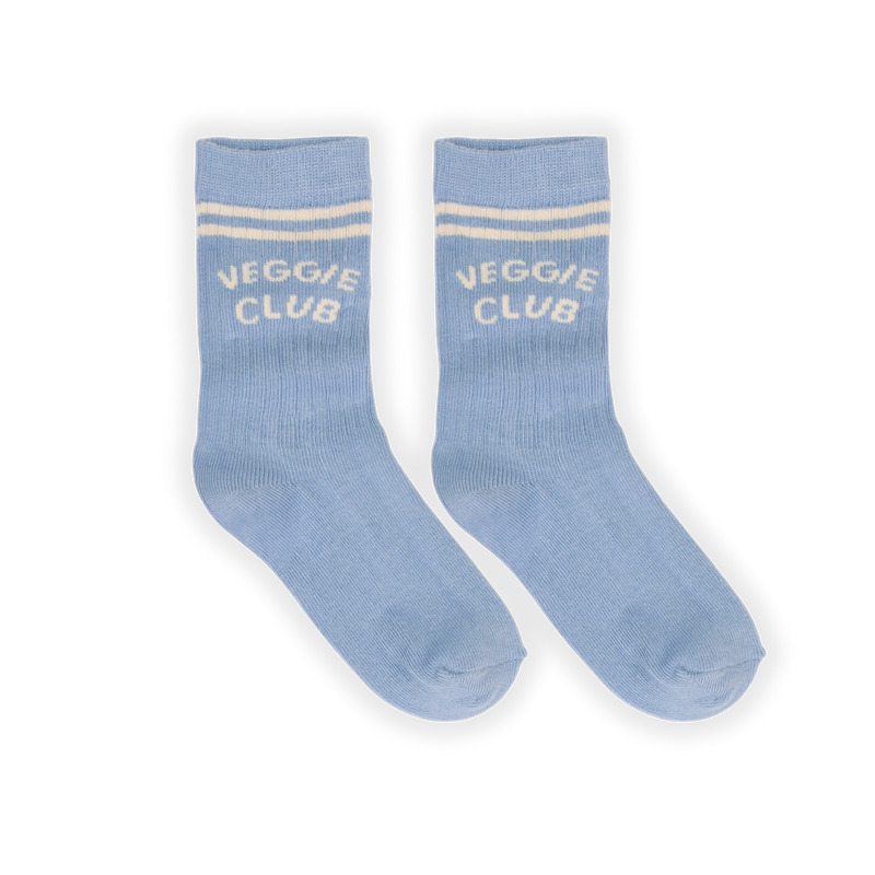 Sproet & Sprout Sport Socks Stripes Breezy Blue