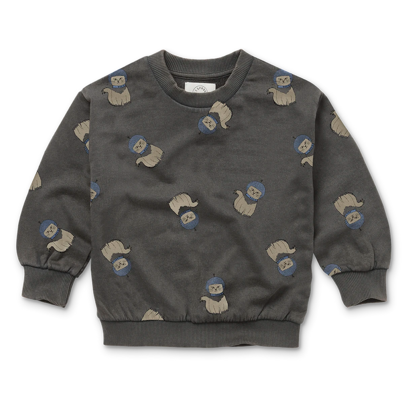Sproet & Sprout Sweatshirt Space Cat Print