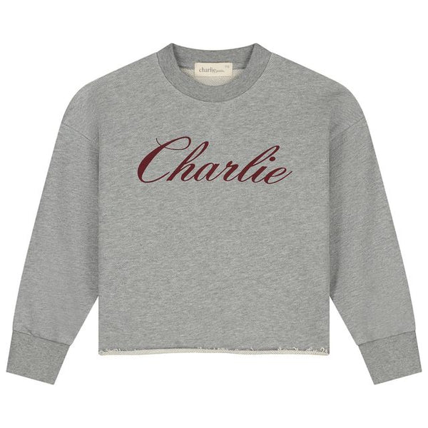 Charlie Petite Lux Sweater Grey Melange