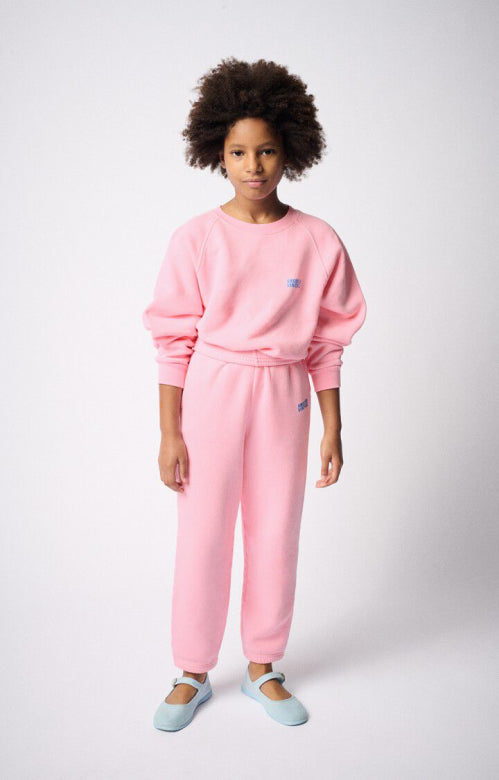 American Vintage Izubird Sweater Roze
